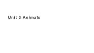 英语广东版 (先锋&开心)Unit3  Animals课文配套ppt课件