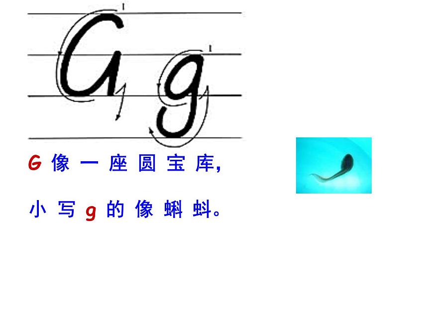 六年級(jí)下冊(cè)英語(yǔ)課件-小升初英語(yǔ)知識(shí)點(diǎn)專項(xiàng)復(fù)習(xí)專題一_語(yǔ)音_字母課件 全國(guó)通用(共37張PPT)第8頁(yè)