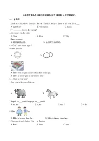 六年级下册英语试题-小升初专项训练之句子 通用版（含答案解析）