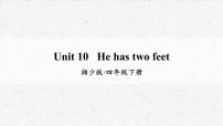 湘少版四年级下册Unit 10 He has two feet.教学课件ppt