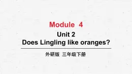 外研版三年级下册英语Module 4 Unit 2教学课件