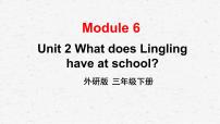 2021学年Unit 2  What does Lingling have at school?教学课件ppt