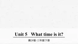 湘少版英语三年级下册unit 5优质课件