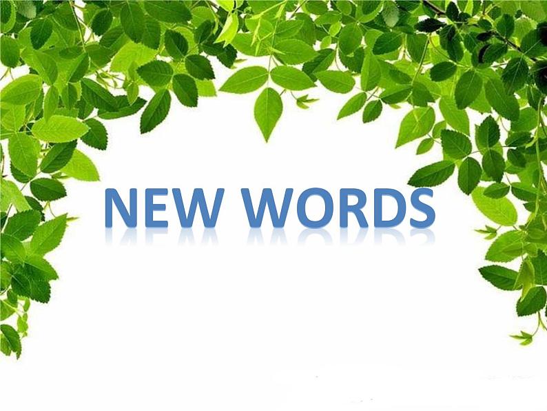 六年级下册英语课件-Module 1 Stories Unit 1 Slow and steady wins the race 1-教科版(广州深圳)02