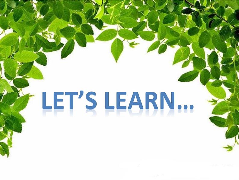 六年级下册英语课件-Module 1 Stories Unit 1 Slow and steady wins the race 1-教科版(广州深圳)08