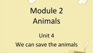 英语六年级下册Module 2 AnimalsUnit 4 We can save the animals背景图ppt课件