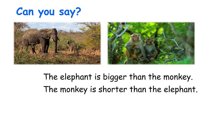 PEP小学英语六年级下册  Unit  1  How tall are you A Let's try&Let's talk     ppt课件+教学教案03