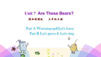 2020-2021学年Unit 7 Are these bears?授课课件ppt