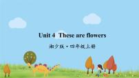 小学英语湘少版四年级上册Unit 4  These are flowers.图片课件ppt