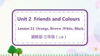 小学英语Lesson 11 Orange, Brown, White, Black精品课件ppt
