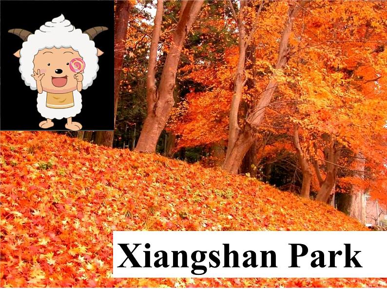 英语二年级上人教版(新起点)park 课件02