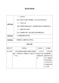 小学科学粤教粤科版 (2017)一年级下册14 校园里的植物教案