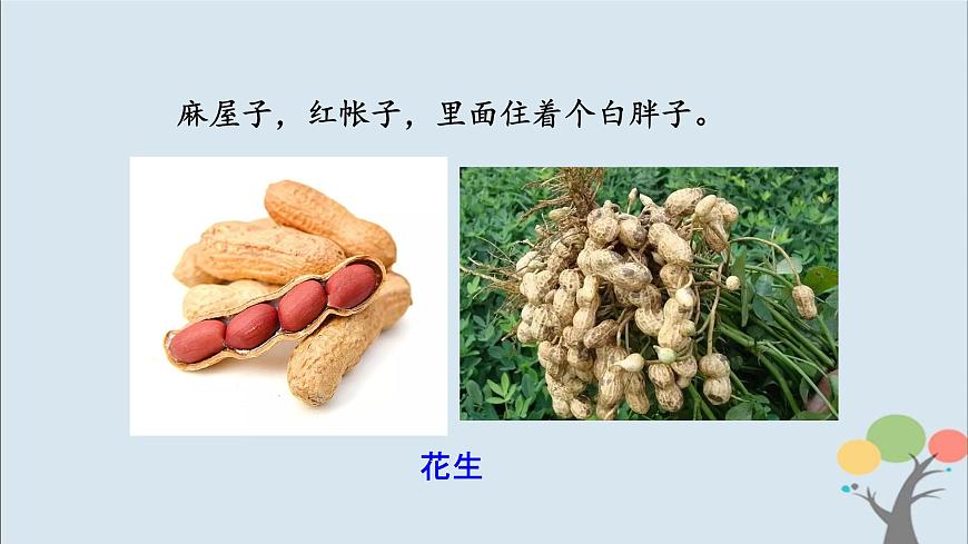 第4課 一天的食物第3頁
