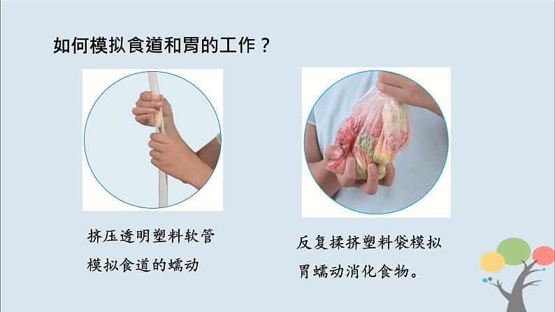 第8课时 食物在身体里的旅行第8页