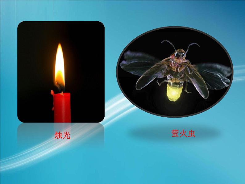 教科版五年级上册《有关光的思考》课件第5页