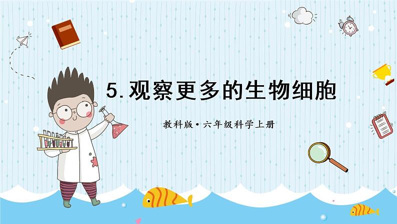 教科版六年级科学上册 一 微小世界 第5课 观察更多的生物细胞 课件01