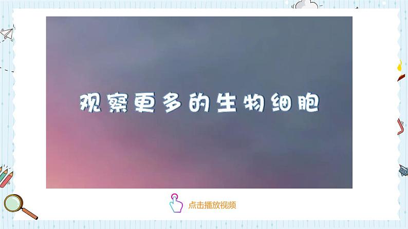 教科版六年级科学上册 一 微小世界 第5课 观察更多的生物细胞 课件06