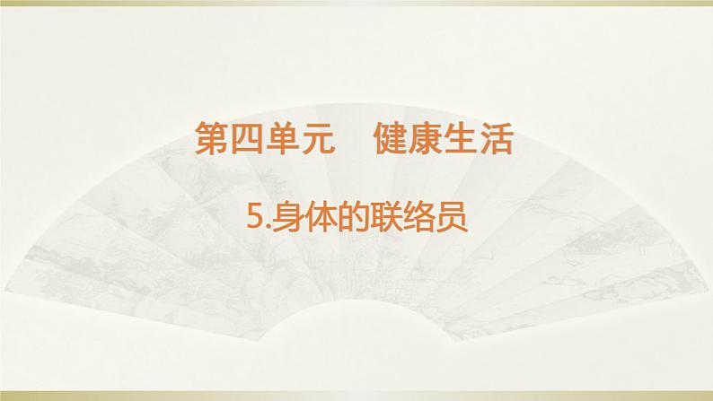 小学科学教科版五年级上册第四单元第5课《身体的“总指挥”》课件3(2021新版)第1页