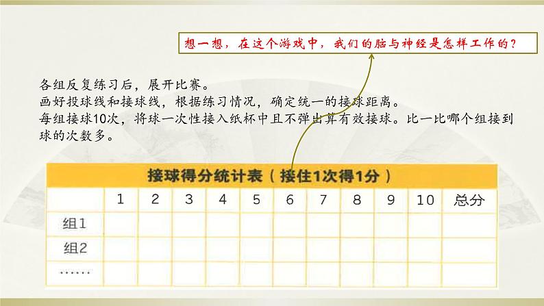 小学科学教科版五年级上册第四单元第5课《身体的“总指挥”》课件3(2021新版)第5页