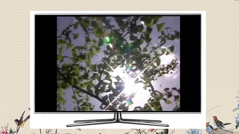 教科版二年级上册科学 我们的地球家园《太阳的位置和方向》课件第2页