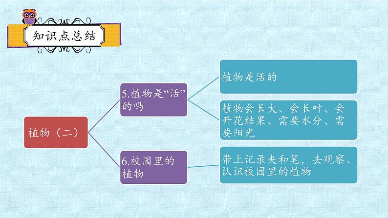 教科版(2017秋)一年级上册 植物 复习(二)课件02