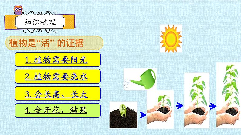 教科版(2017秋)一年级上册 植物 复习(二)课件03
