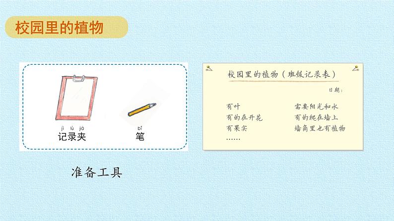 教科版(2017秋)一年级上册 植物 复习(二)课件04
