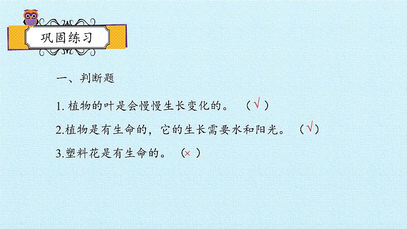 教科版(2017秋)一年级上册 植物 复习(二)课件06