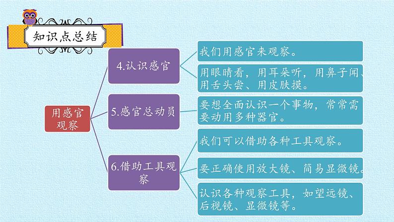 一年级上册科学 2单元 用感官观察 复习课件 苏教版第2页