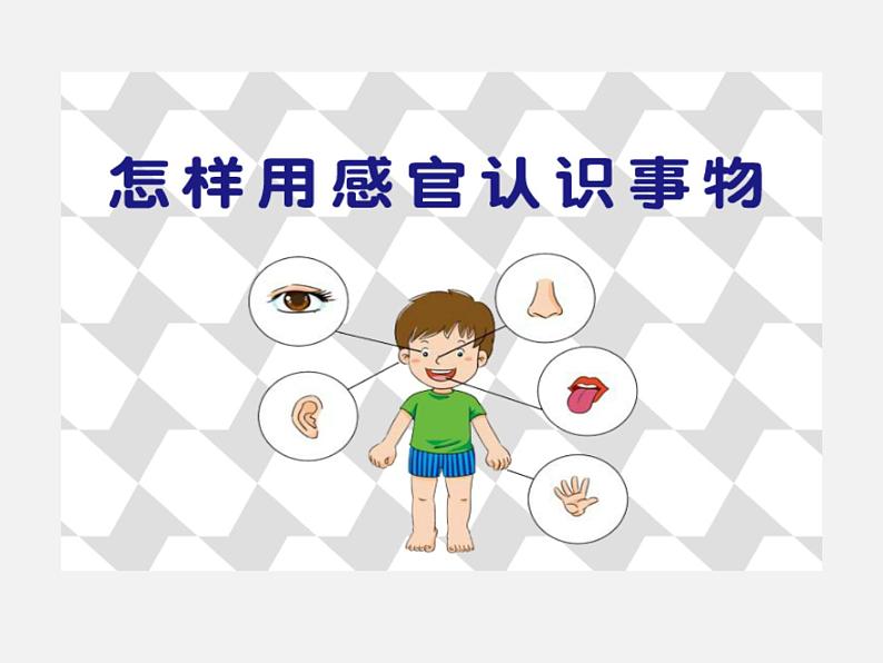 一年级上册科学课件-2 我的感官丨冀人版(共22张PPT)02