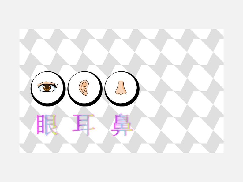 一年级上册科学课件-2 我的感官丨冀人版(共22张PPT)06