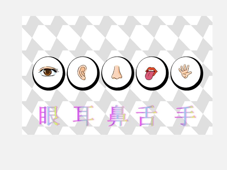 一年级上册科学课件-2 我的感官丨冀人版(共22张PPT)08