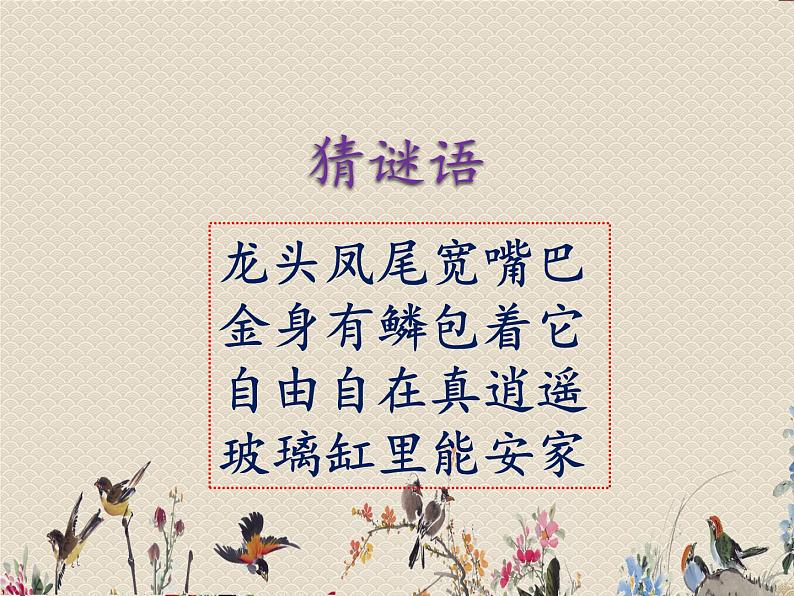 教科版三年级上册科学动物《金鱼》课件第2页