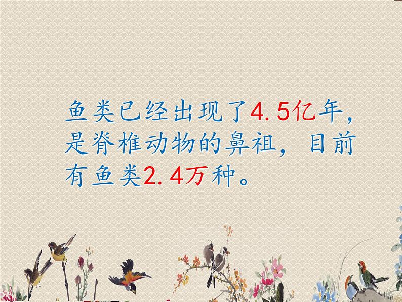 教科版三年级上册科学动物《金鱼》课件第6页