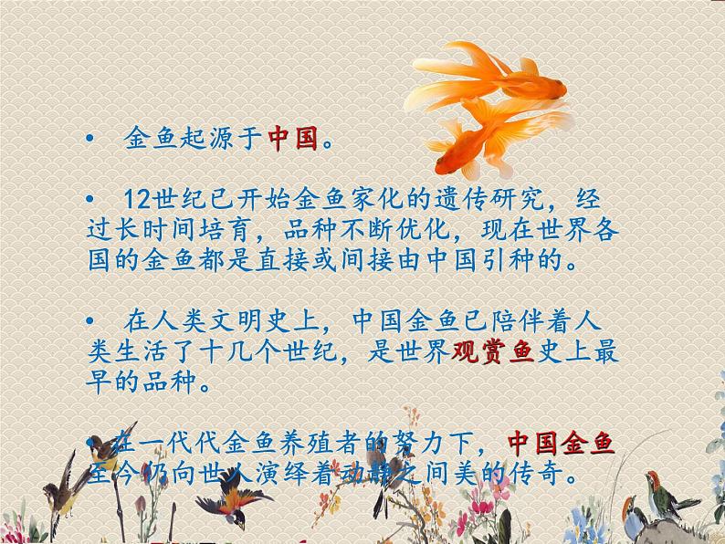 教科版三年级上册科学动物《金鱼》课件第8页