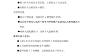 小学科学教科版五年级上册4、光的反射教学设计及反思