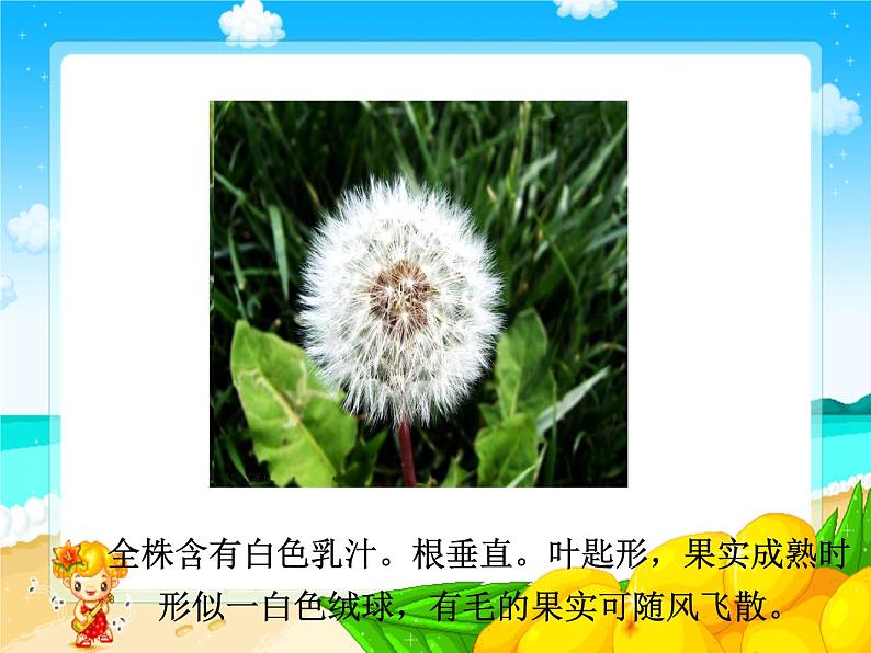 《1 小草和大树》课件02
