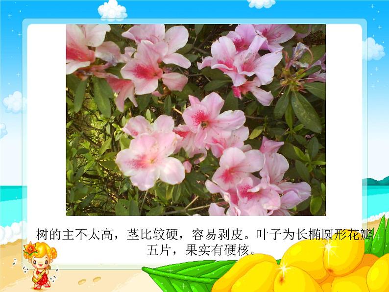 《1 小草和大树》课件06