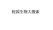 小学科学教科版六年级上册1、校园生物大搜索教学ppt课件