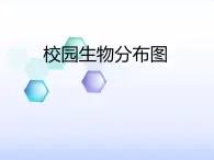 4.2《校园生物分布图》（课件）-2021-2022学年科学六年级上册（教科版）