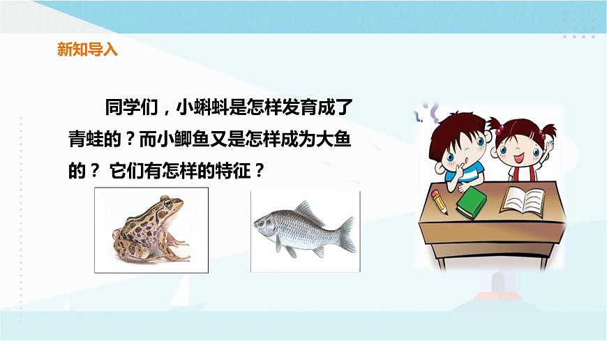 粵教粵科版三上科學(xué) 1.1《鯽魚與青蛙》課件第2頁(yè)