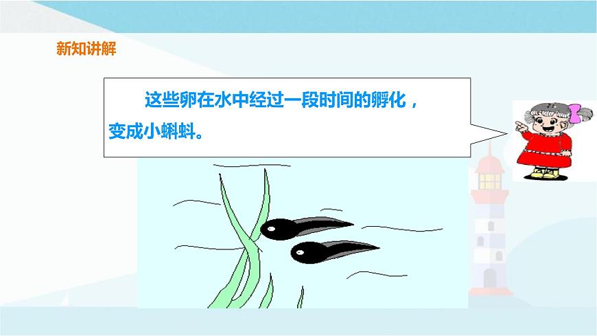 粵教粵科版三上科學(xué) 1.1《鯽魚與青蛙》課件第7頁(yè)