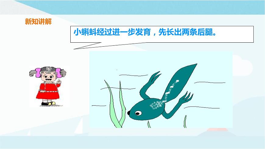 粵教粵科版三上科學(xué) 1.1《鯽魚與青蛙》課件第8頁(yè)