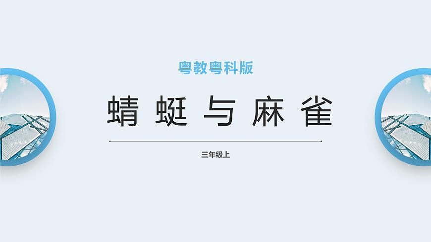 粵教粵科版三上科學 1.2《蜻蜓與麻雀》 課件第1頁