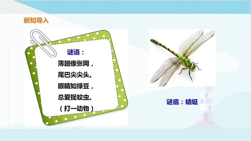 粵教粵科版三上科學 1.2《蜻蜓與麻雀》 課件第2頁
