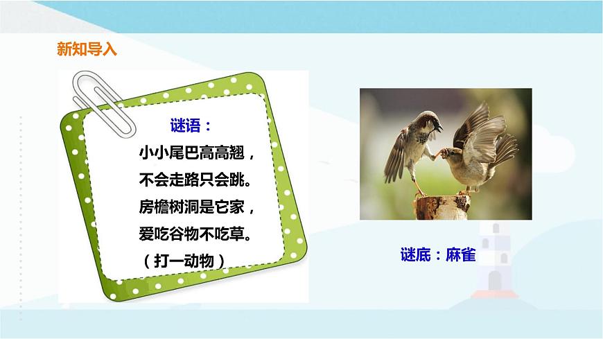 粵教粵科版三上科學 1.2《蜻蜓與麻雀》 課件第3頁