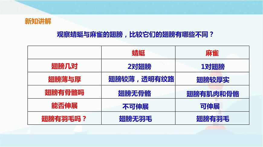 粵教粵科版三上科學 1.2《蜻蜓與麻雀》 課件第7頁