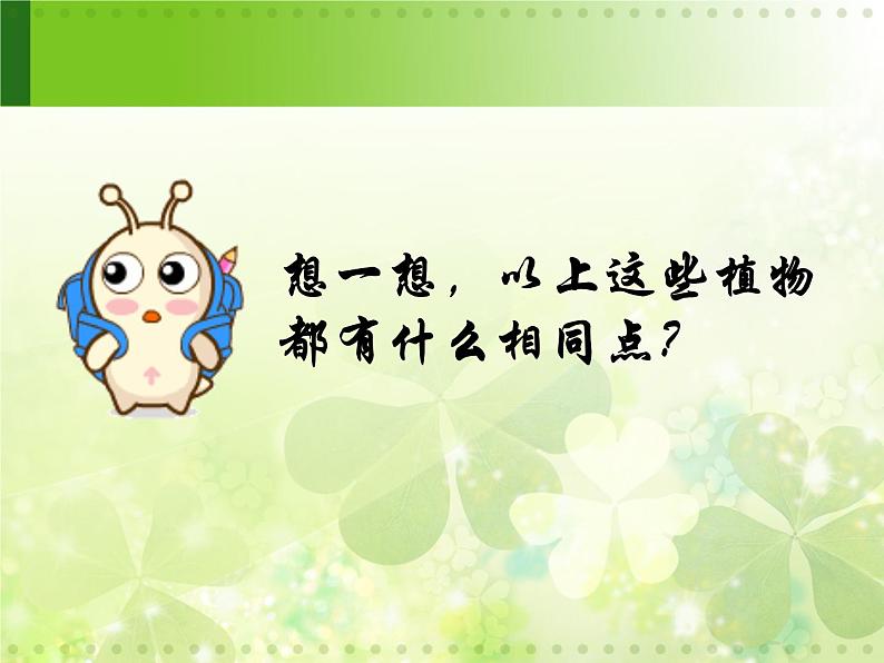 三年级上科学-1.4《水生植物》参考课件-教科版06
