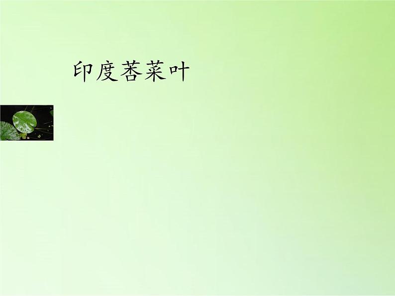 三年级上科学-1.4水生植物(2)课件-教科版06