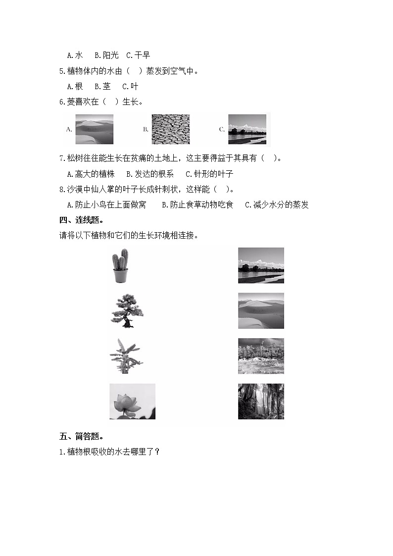 小学科学同步练习六年级上册第一单元《3.研究仍在继续》 大象版 (Word含答案)第2页